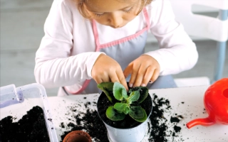 Kids Testing Soil