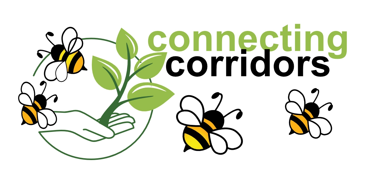 Connecting Corridors