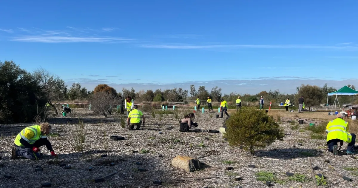 More opinions than hands