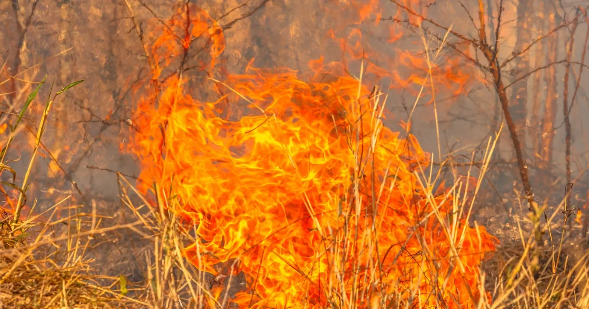 Onlookers and Drones at Fires Hinder Firefighters
