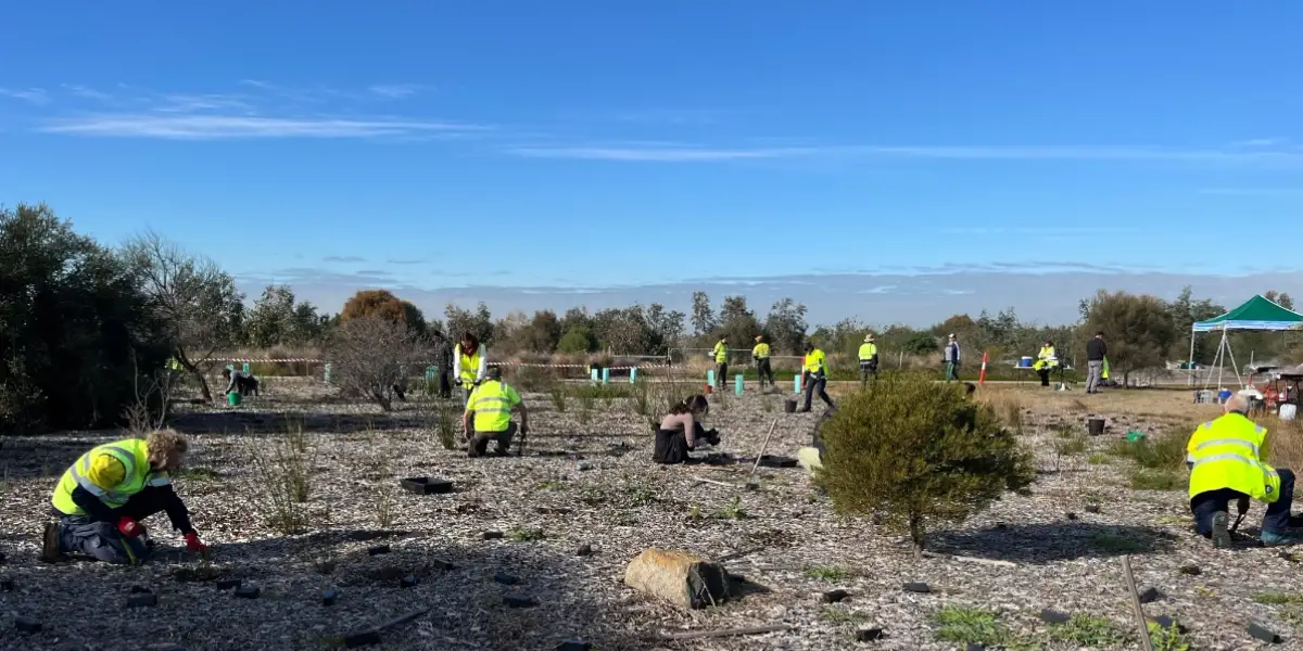 More opinions than hands