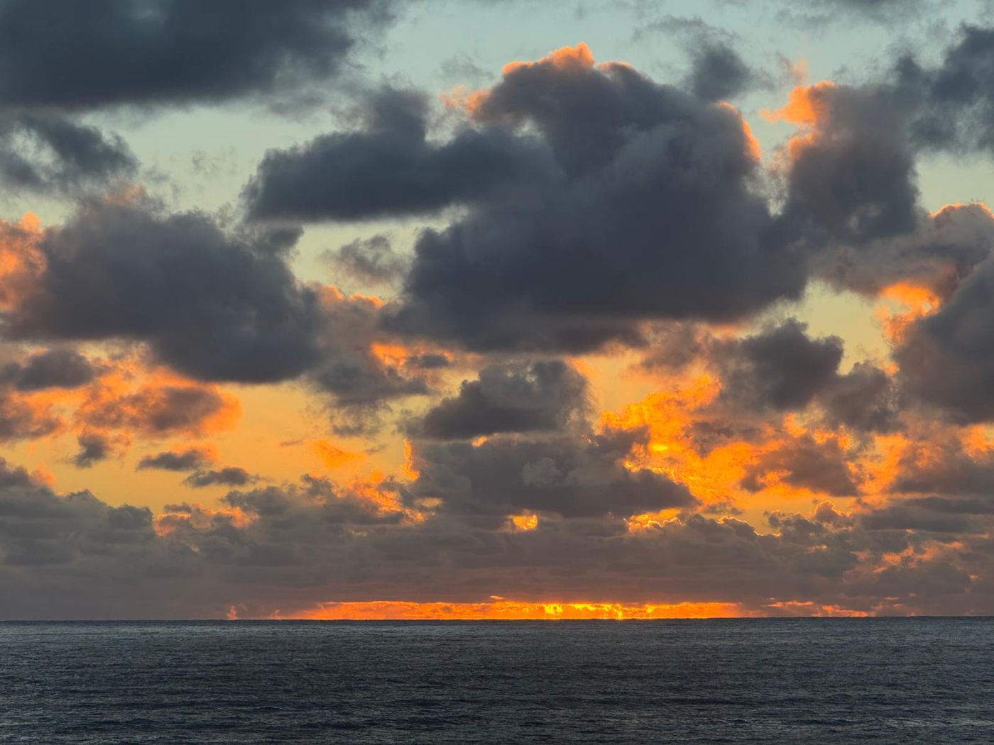 Florida Sunset<br><br>© Paul Arlott
