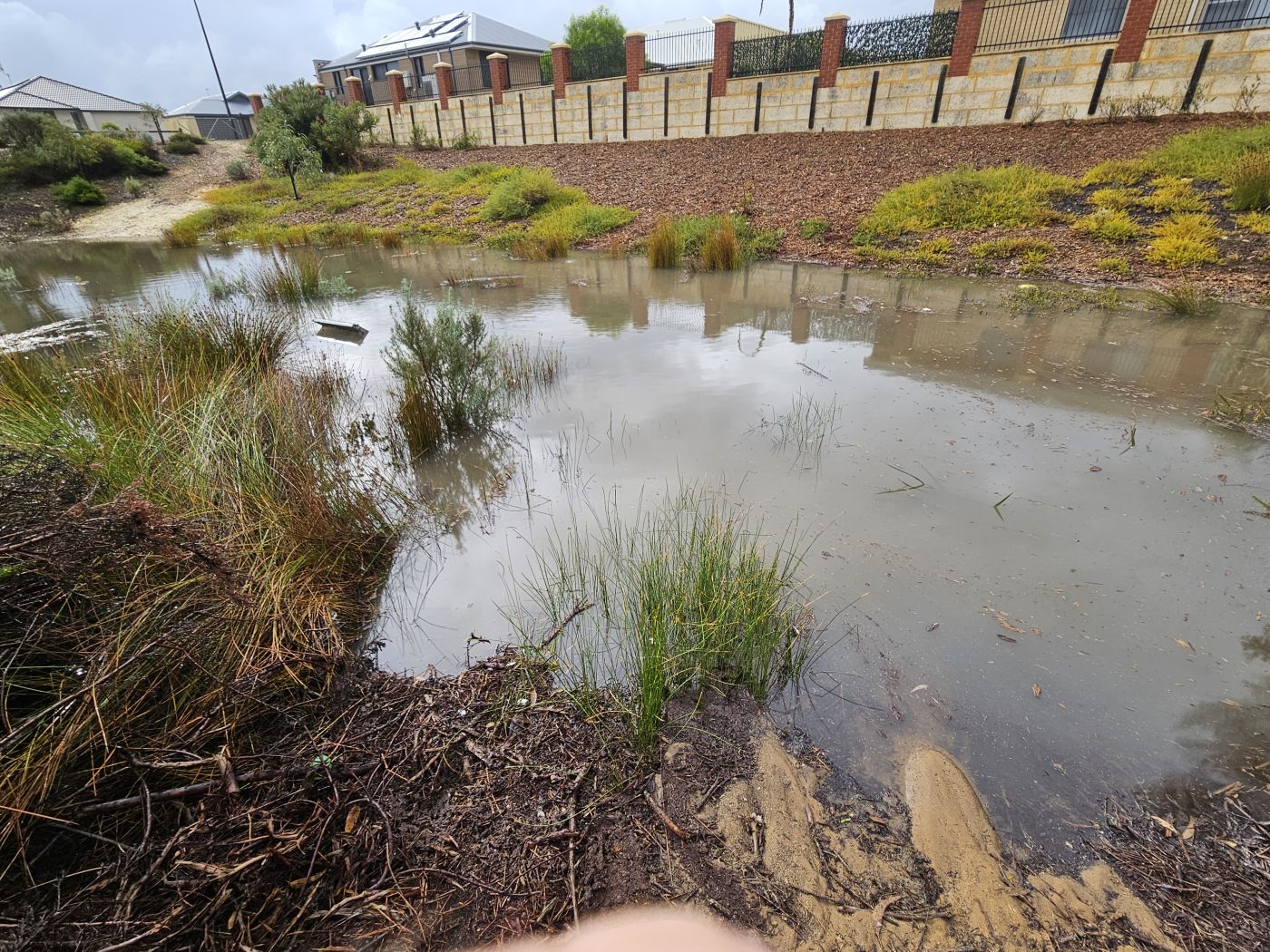 Melros Urban Park<br><br>© Cindy Arlott