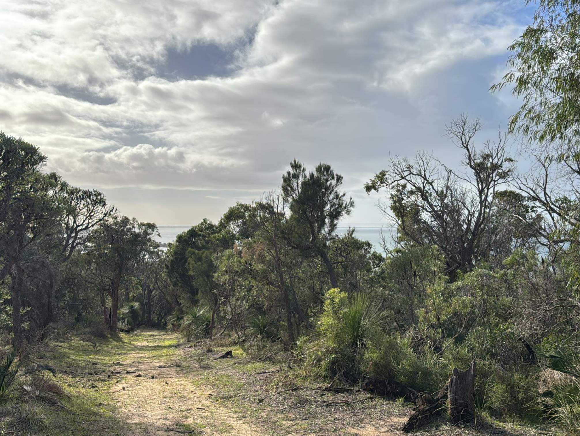 Caddadup Reserve