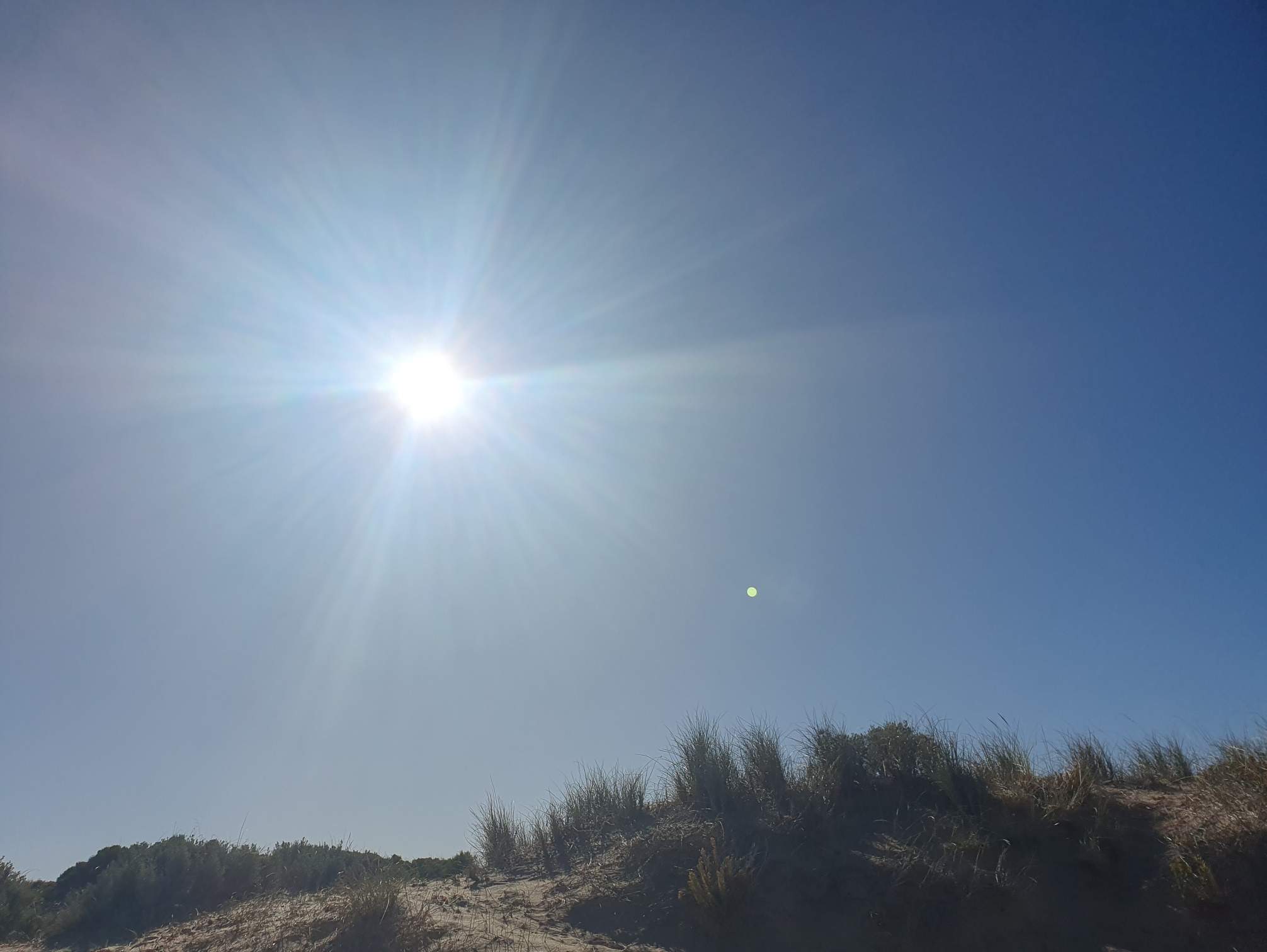 Florida Beach Sunshine