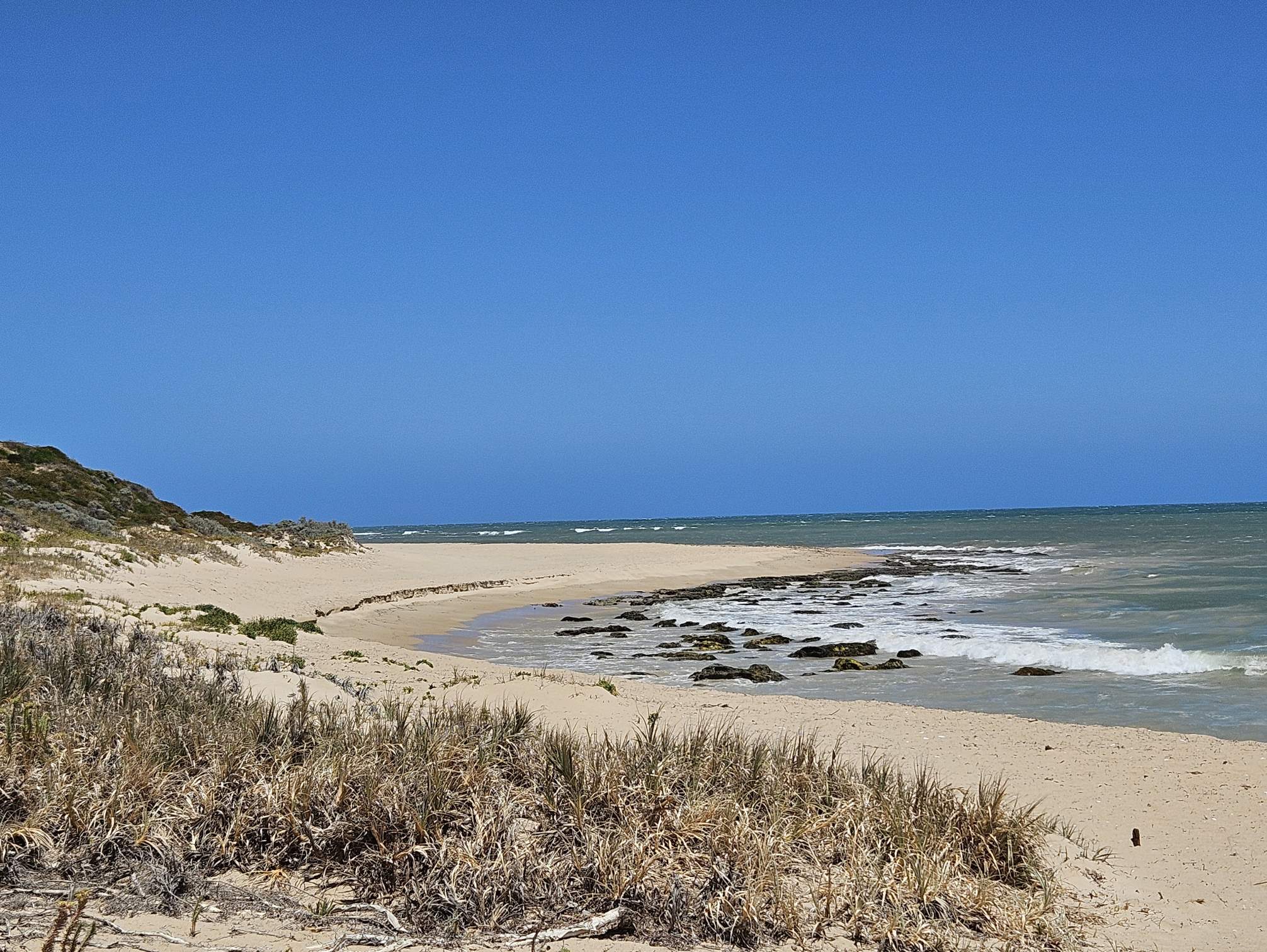 Florida Beach<br><br>© Cindy Arlott