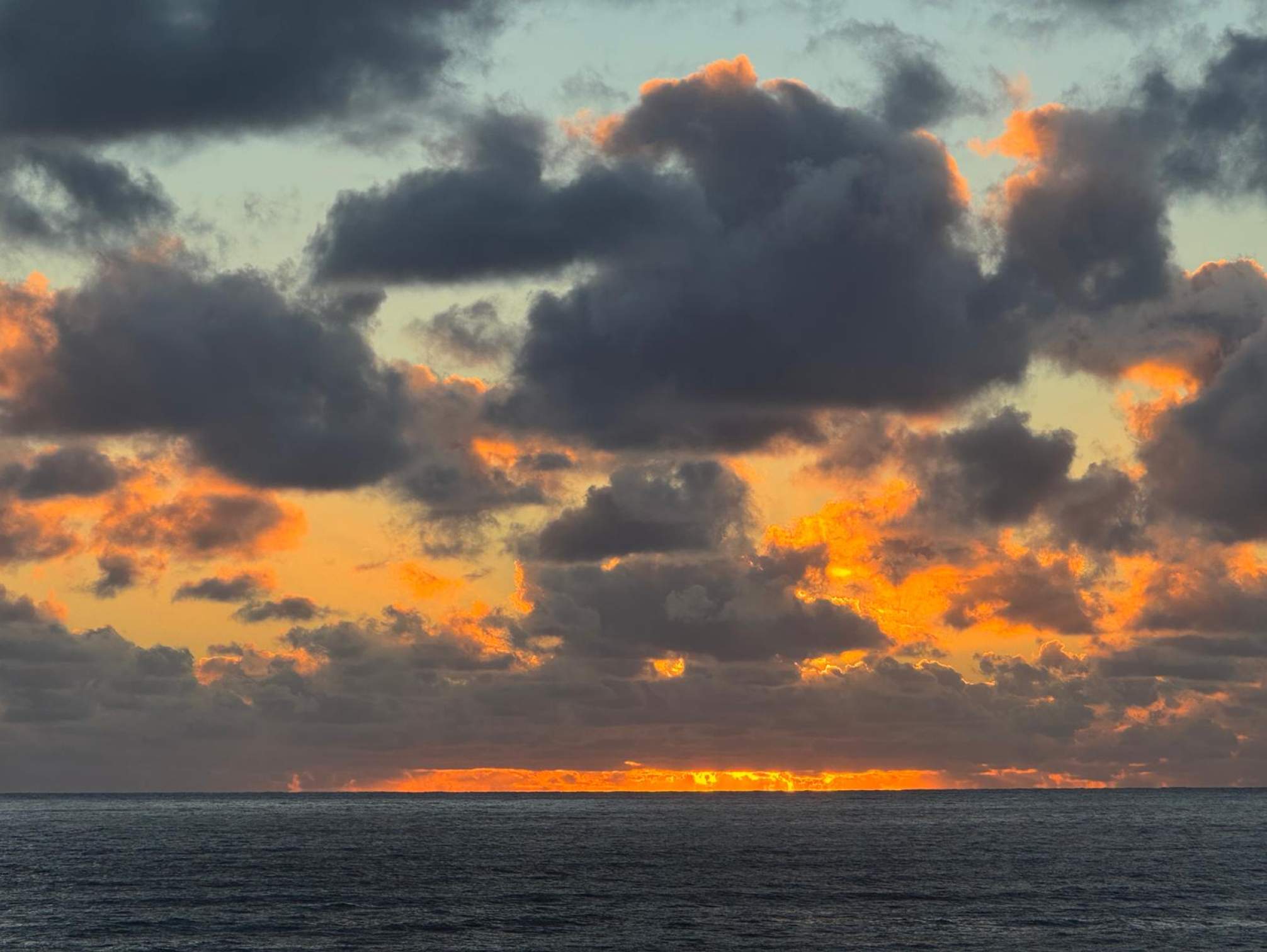 Florida Sunset<br><br>© Paul Arlott
