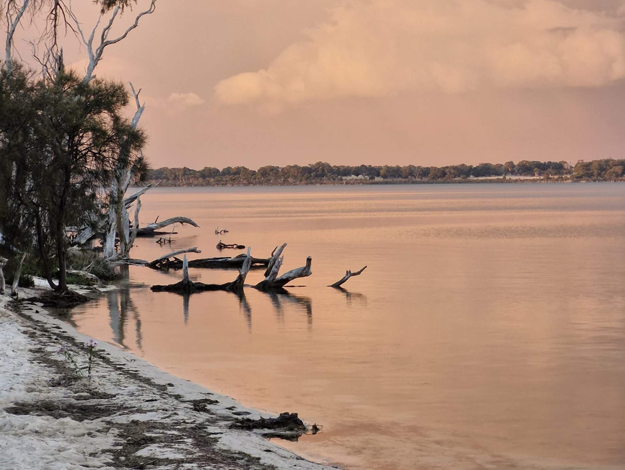 Harvey Estuary<br><br>©  Kaye Denslow