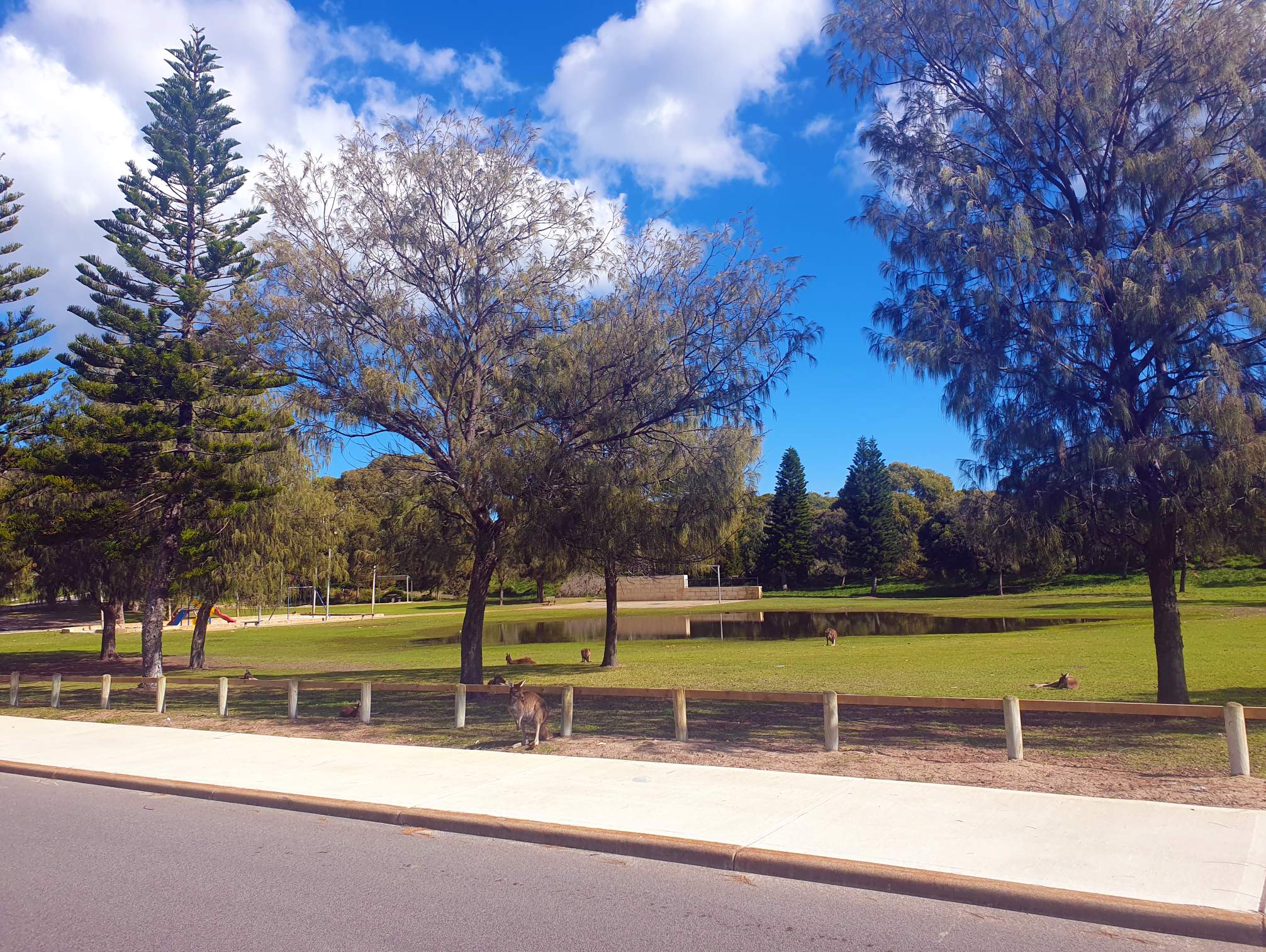 Roos at Melros Reserve