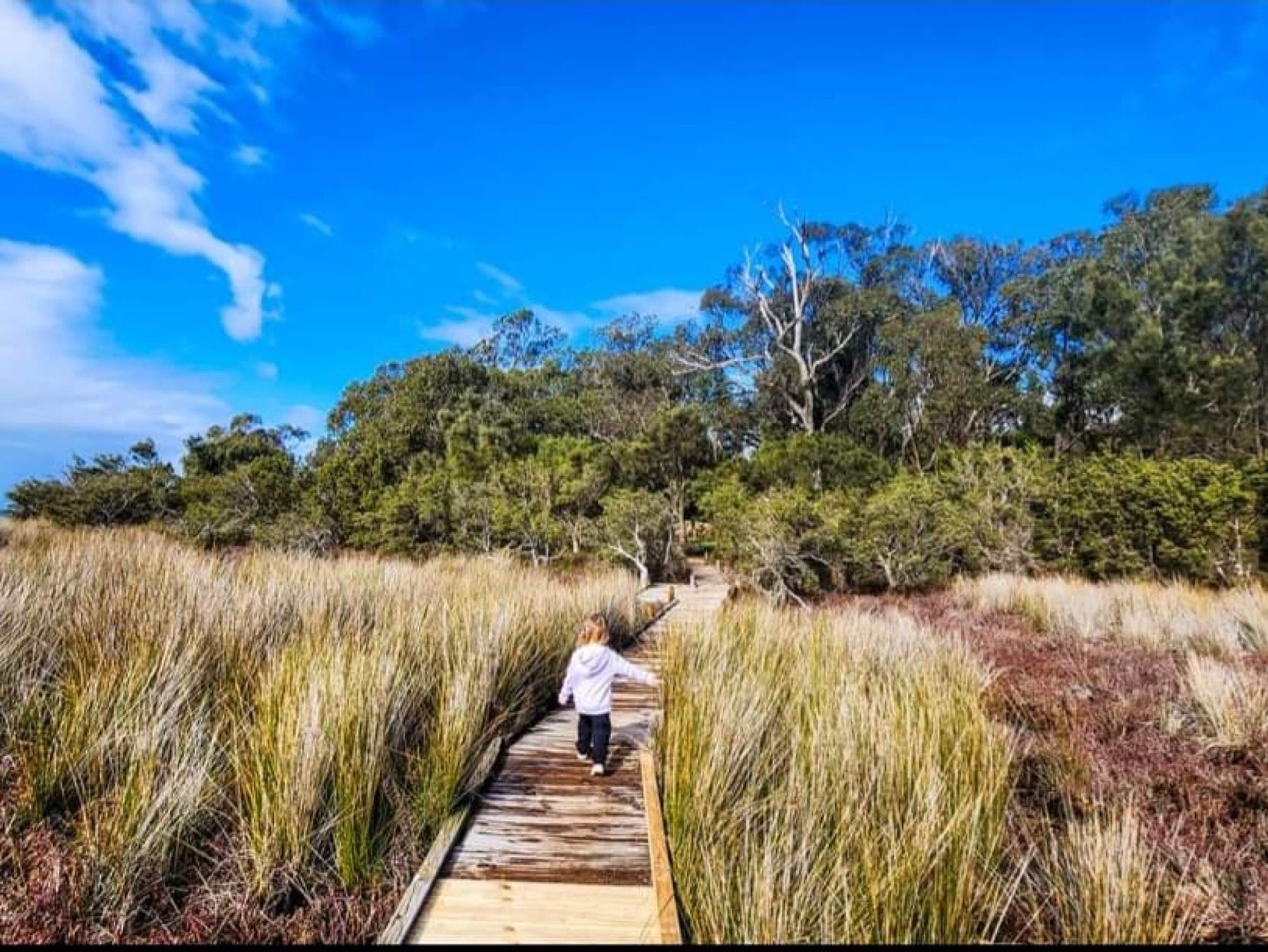 Warrangup Boardwalk<br><br>© Chelle Fisher