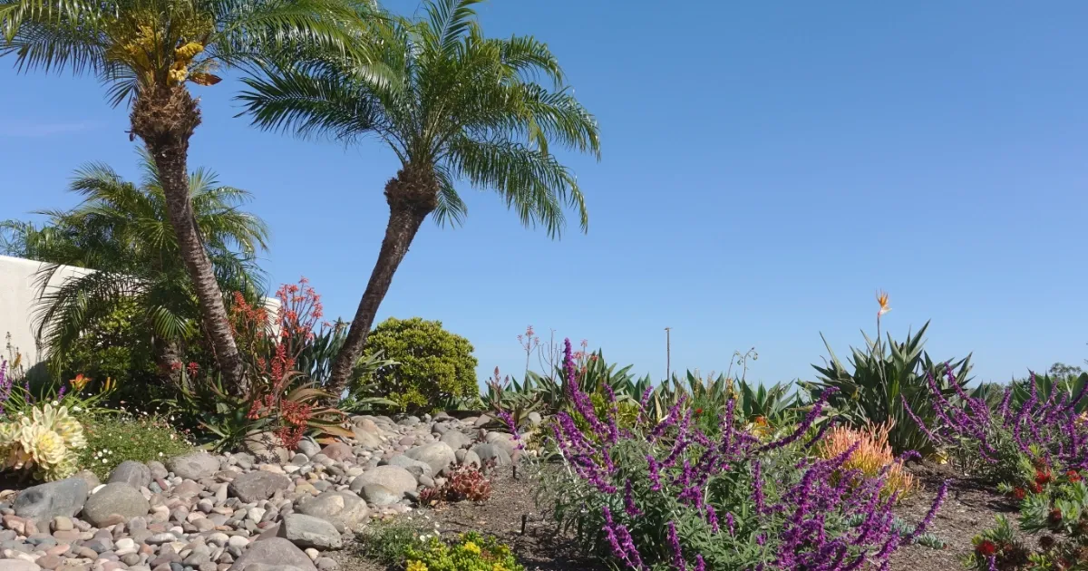 Watering Your Garden Wisely in Dawesville