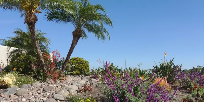 Watering Your Garden Wisely in Dawesville
