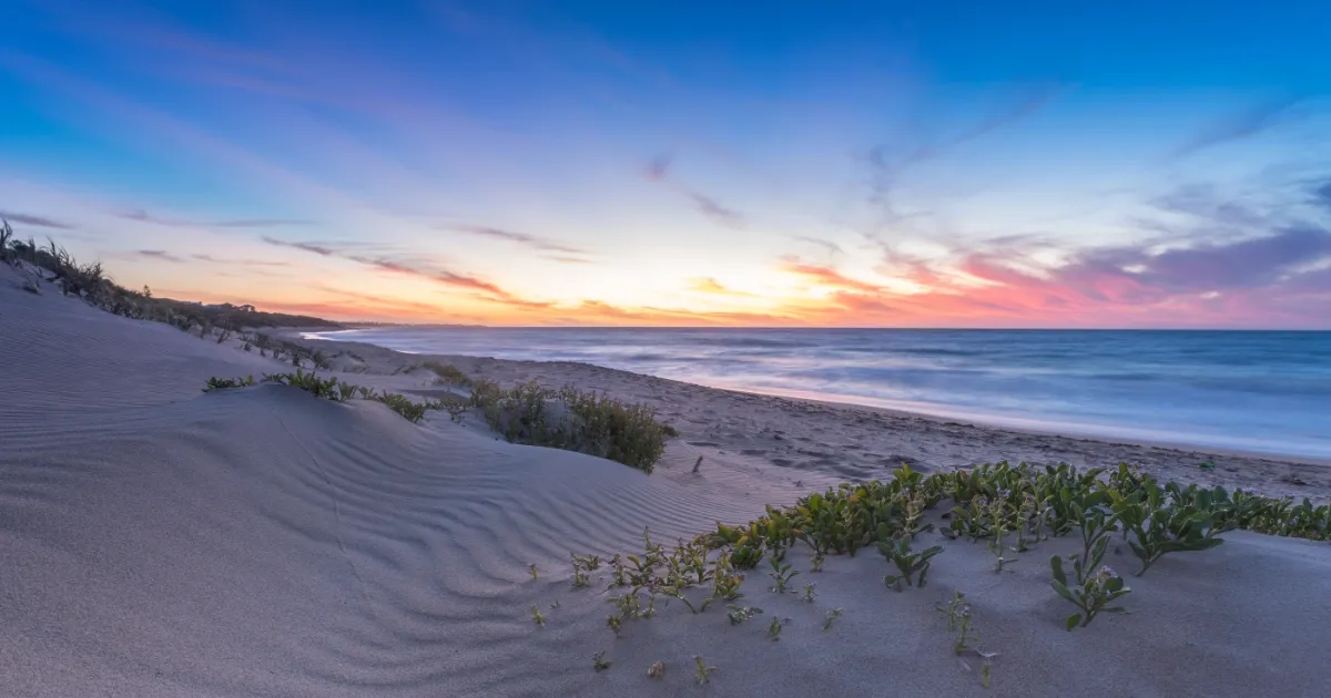 Environmental Impact of Driving Through Sand Dunes