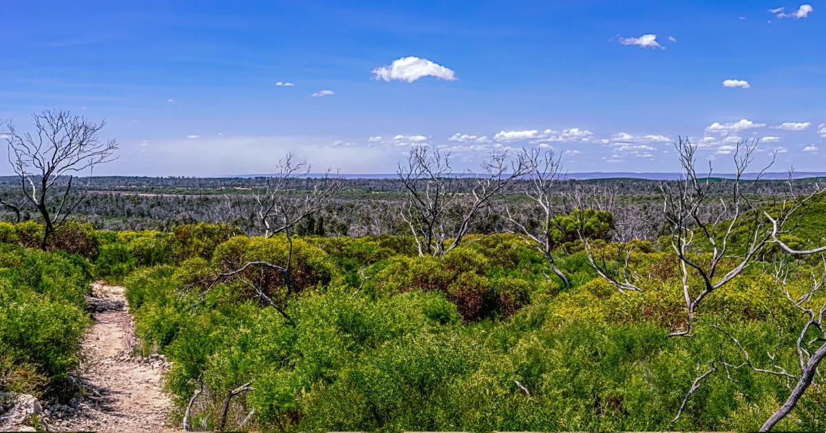 Yalgorup National Park