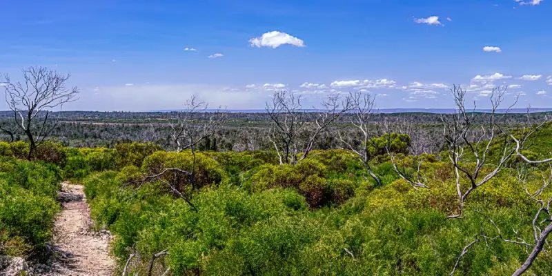 Yalgorup National Park