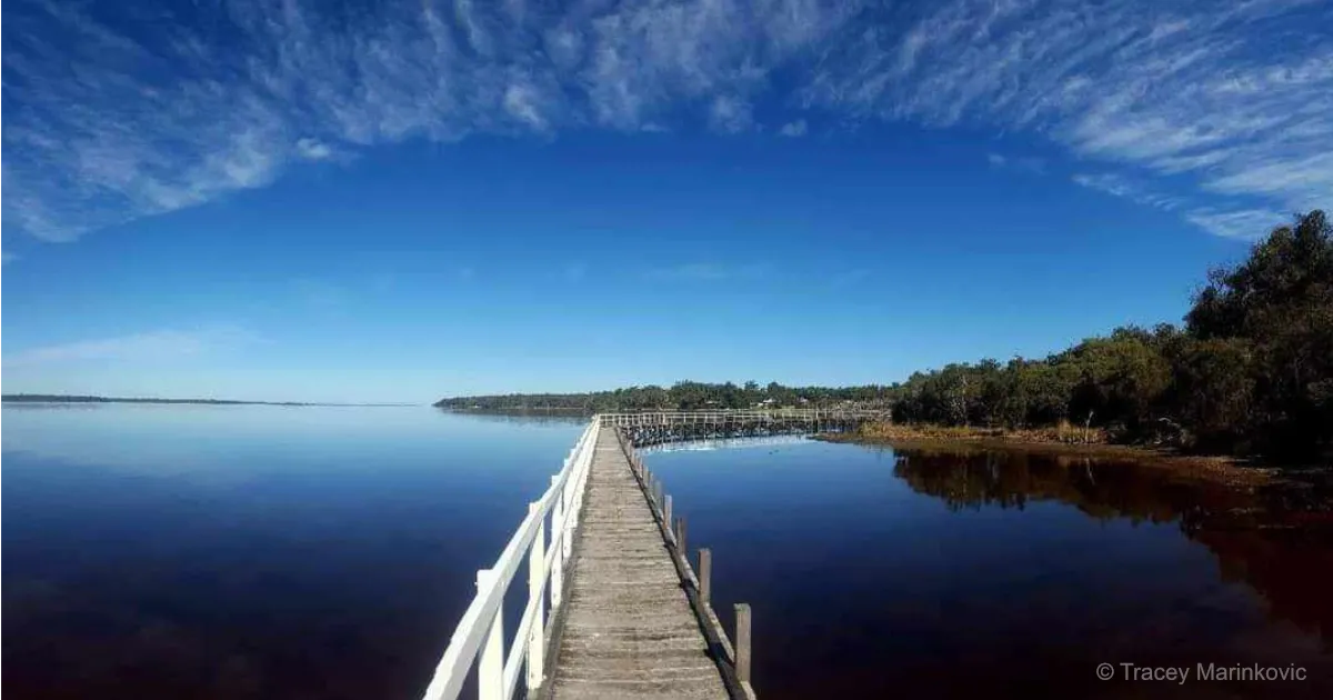 The Dawesy Hub - Warrungup Spring Reserve