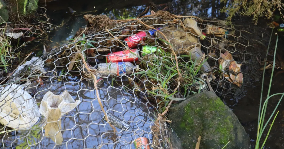 Plastic Free Dawesville: Simple Switches That Make a Big Difference