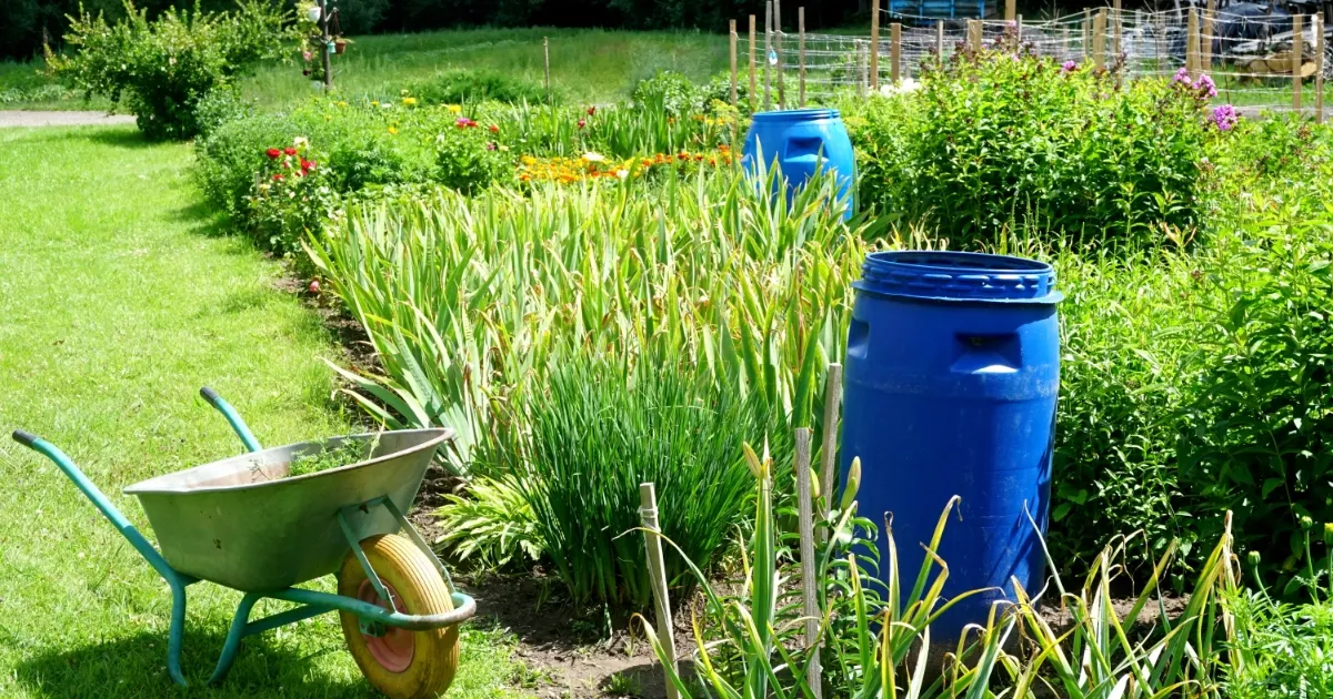 Reusing Water at Home