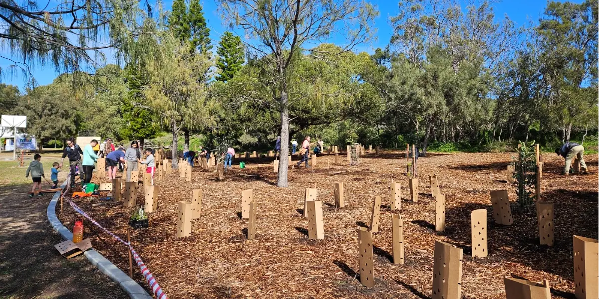 Over 3,000 Trees and Counting in Dawesville