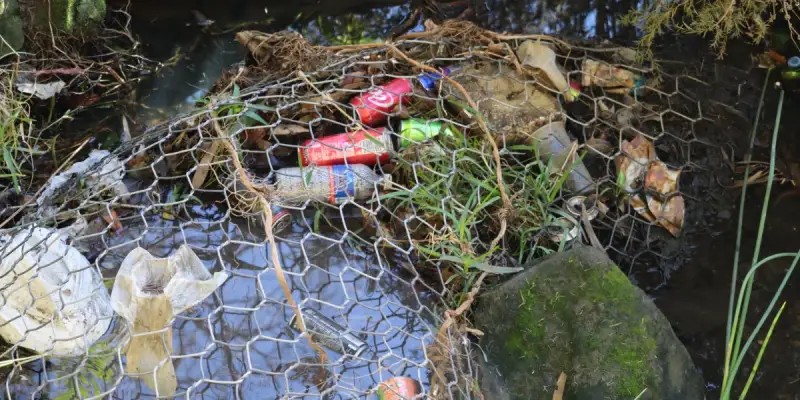 Plastic Free Dawesville: Simple Switches That Make a Big Difference