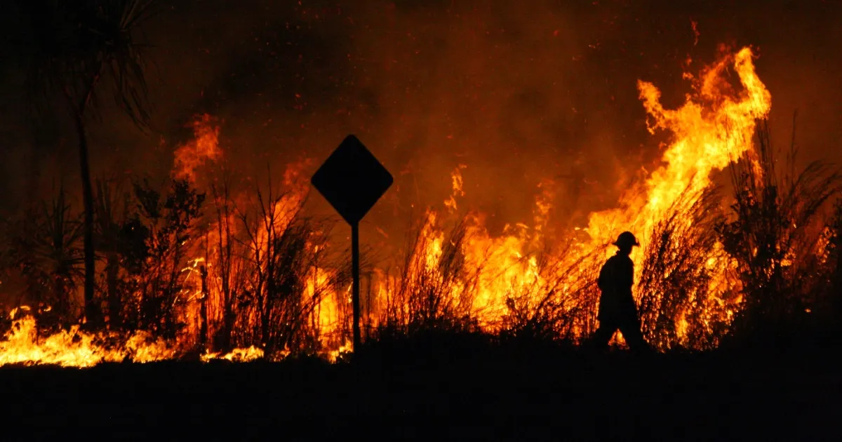 Australia's Bushfire Preparedness