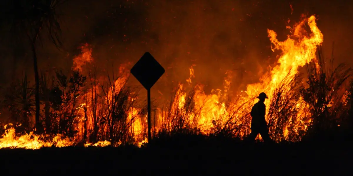 Australia's Bushfire Preparedness