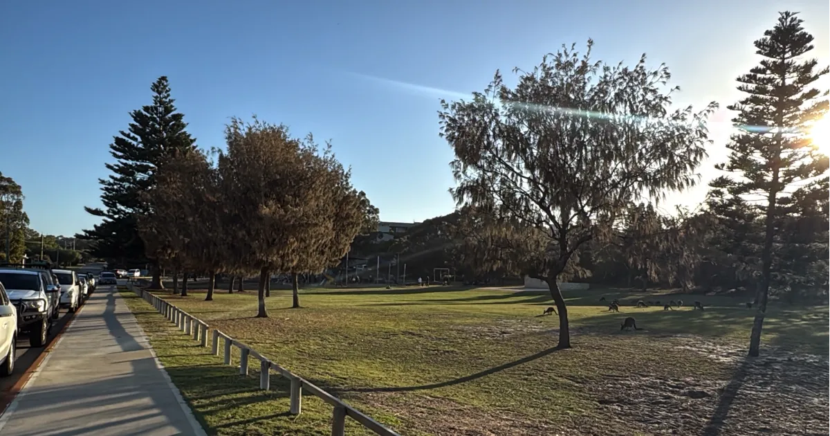 Tree Planting Day Returns for Landcare Week