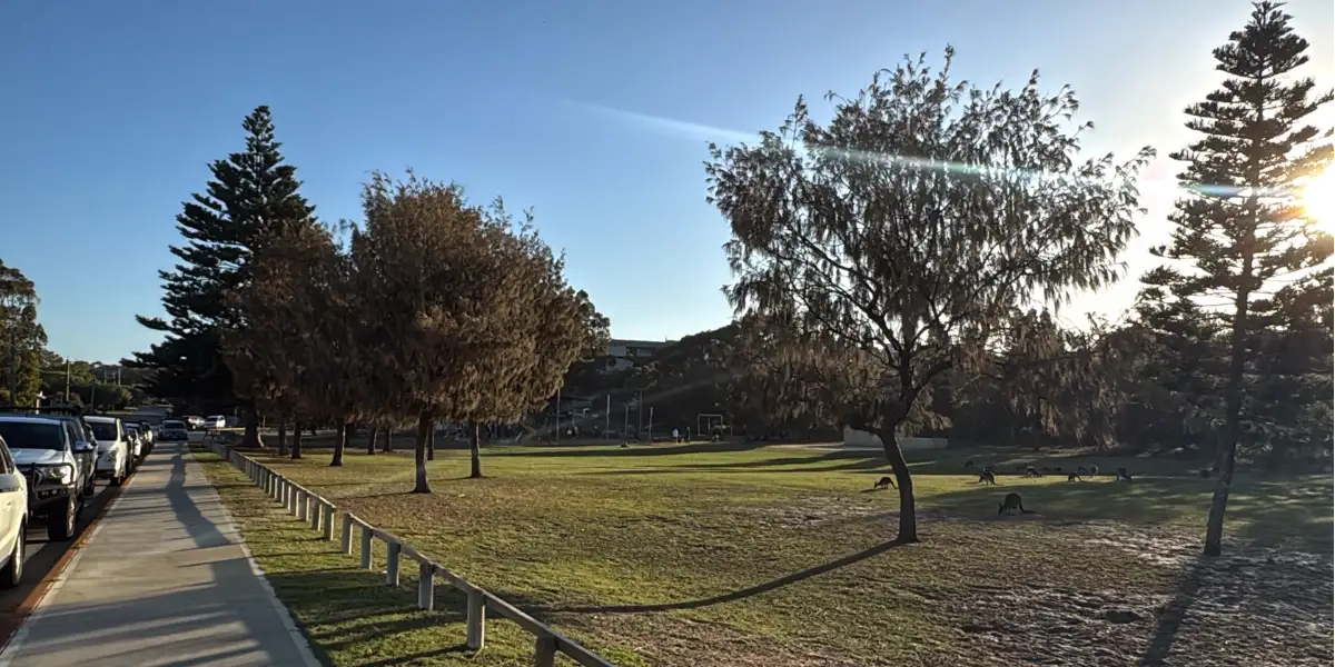 Tree Planting Day Returns for Landcare Week