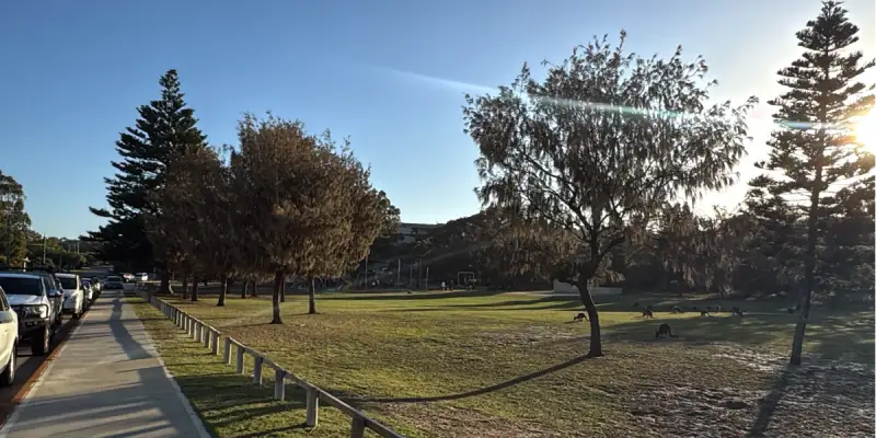 Tree Planting Day Returns for Landcare Week